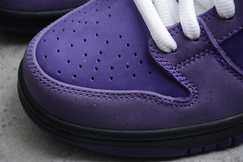 Concepts x Nike SB Dunk Low Purple Lobster